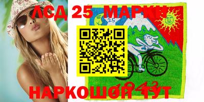 гидра Новодвинск