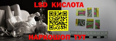 гидра Новодвинск