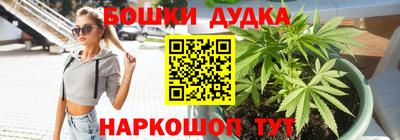 гидра Новодвинск