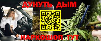 гидра Новодвинск