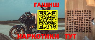 гидра Новодвинск