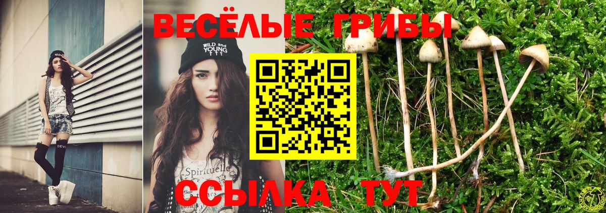 Псилоцибиновые грибы мухоморы  Вход с VPN  Тихвин  Галлюциногенные грибы GOLDEN TEACHER 